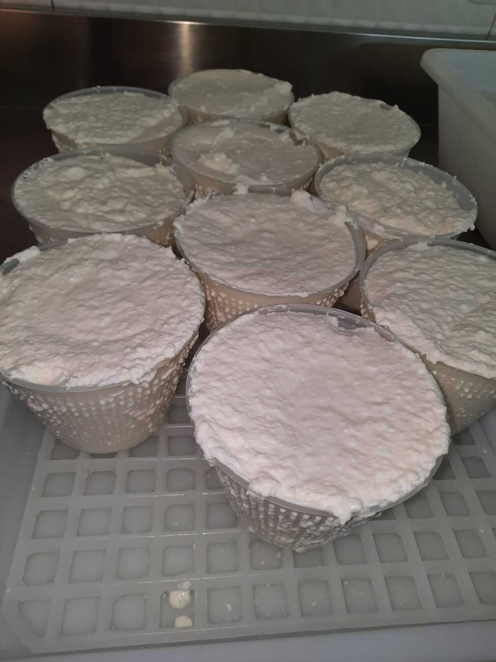 Ricotta Fresca 350 gr
